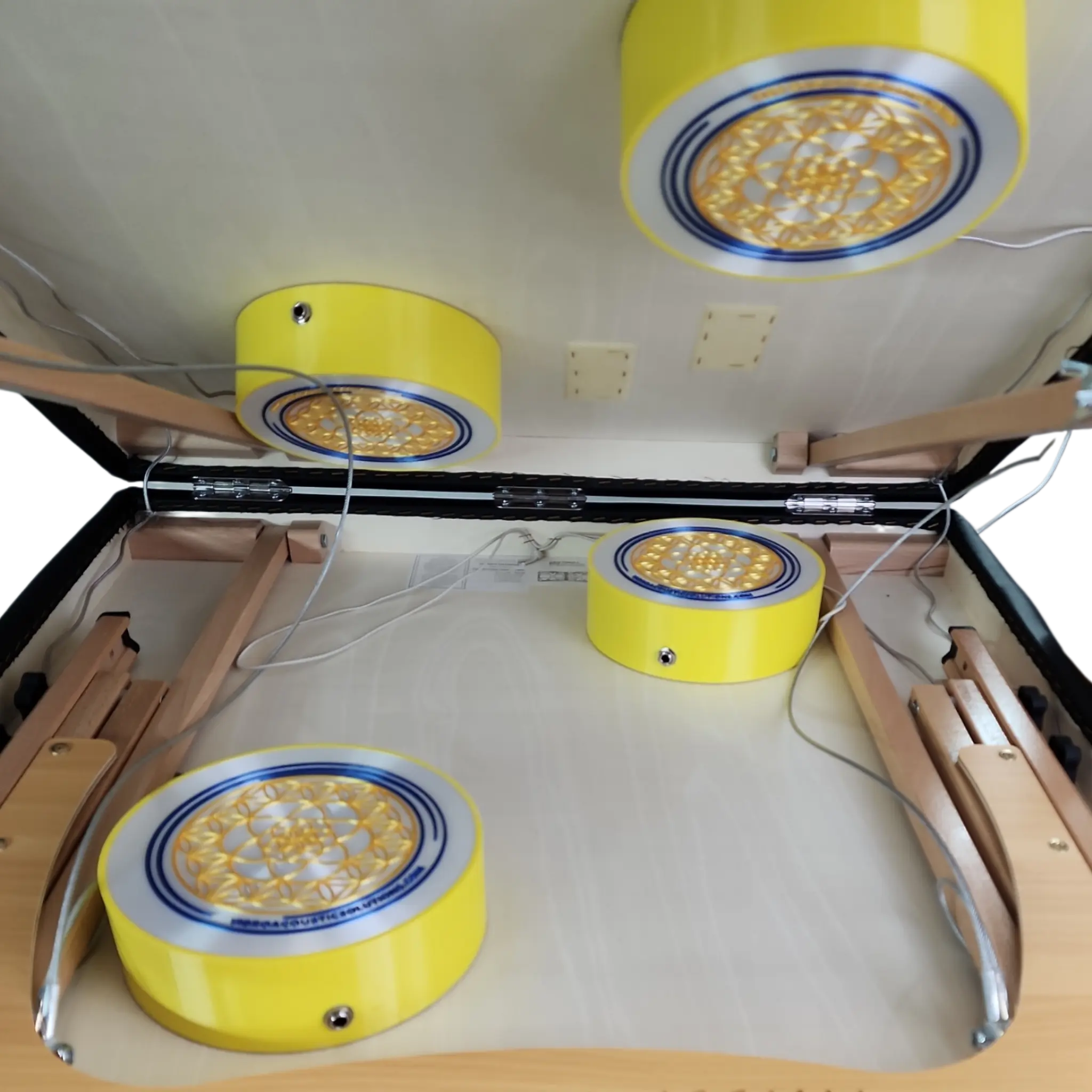 Vibroacoustic Bed Professional System for Vibroacoustic Therapy