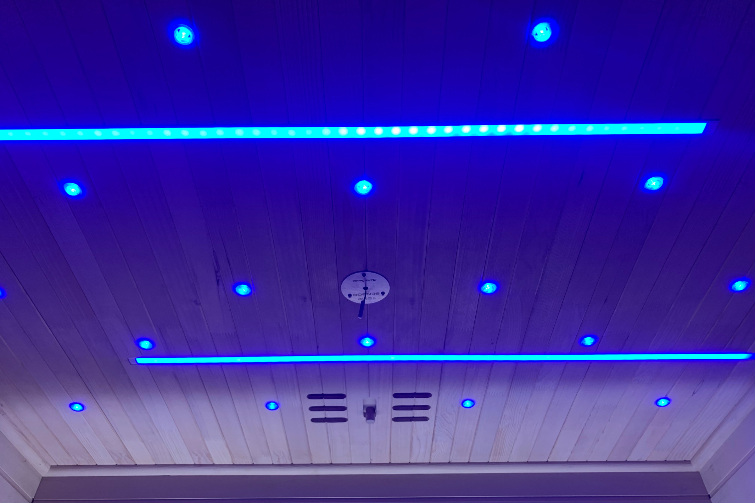 Blisspod Bergen Full Spectrum Ultimate Indoor Sauna Red Light Therapy 2 Person