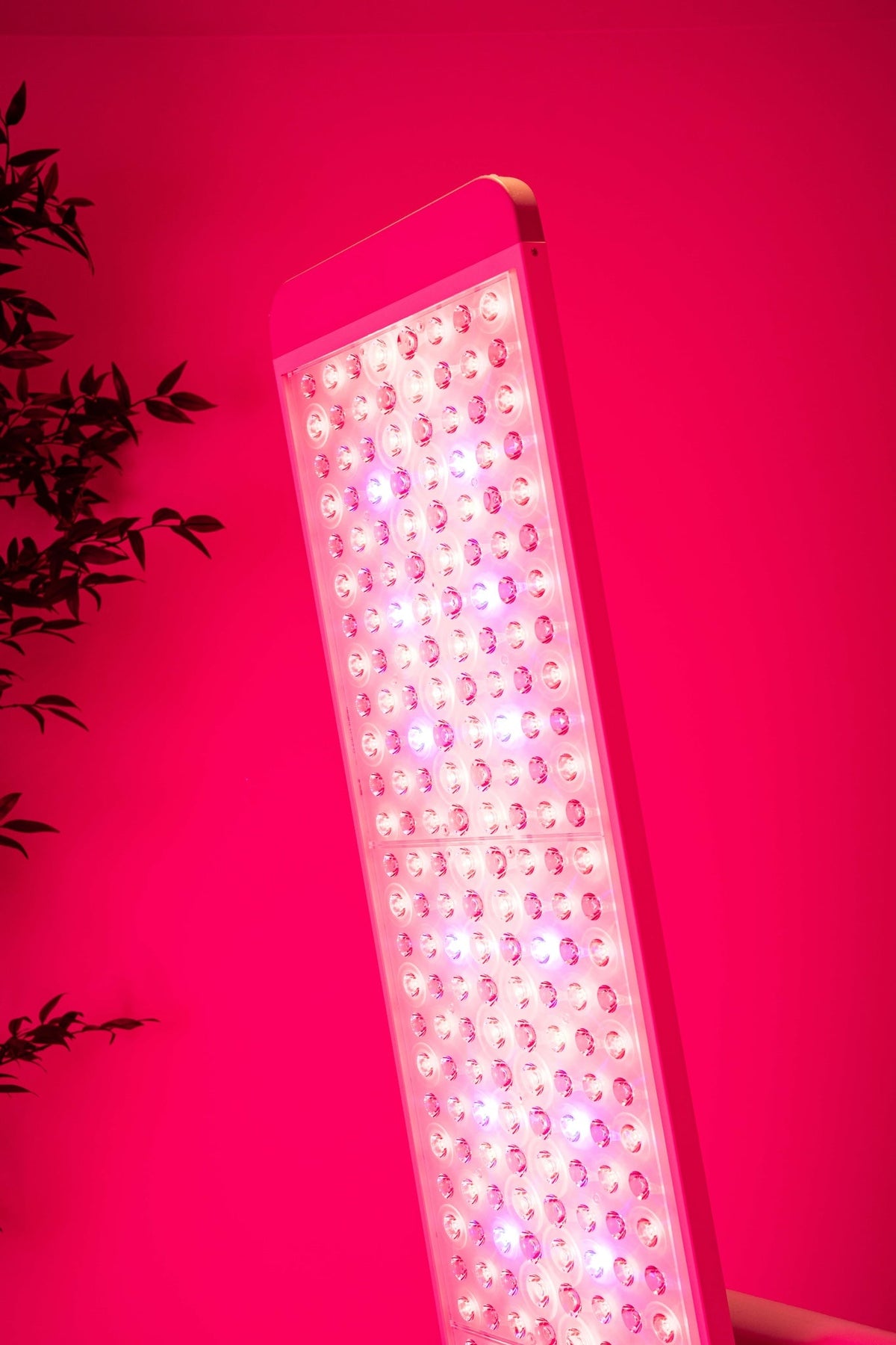 Renew Panorama Full-Body Light Therapy Panel